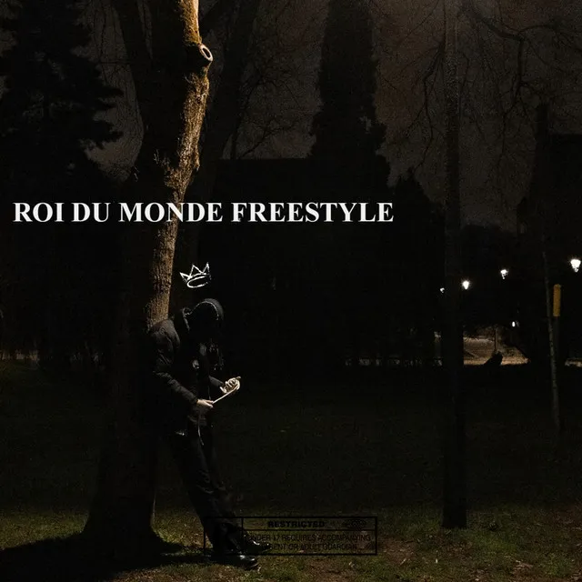 ROI DU MONDE FREESTYLE