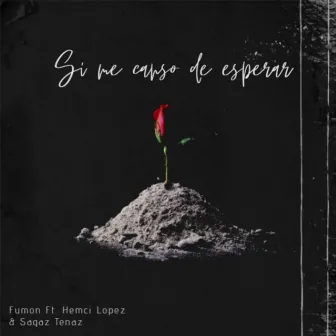 Si Me Canso de Esperar by Fumón