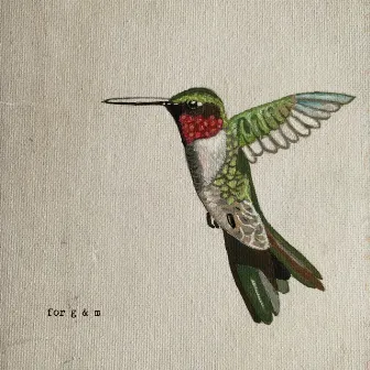 Hummingbird by Kaycee Hines