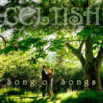 Song of Songs (Radio Edit) by Nigel Cameron