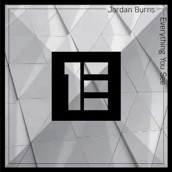 Everything You See by Jordan Burns