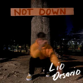 Not Down by Lio Desario