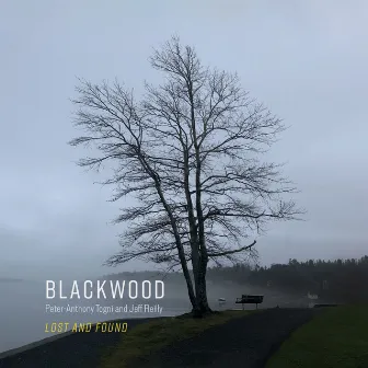 Lost and Found by Blackwood