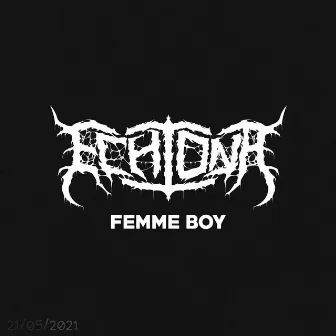 Femme Boy by Echidna