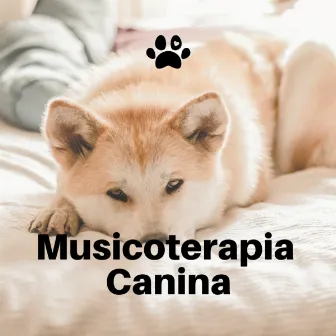 Musicoterapia Canina by Música Ambiente