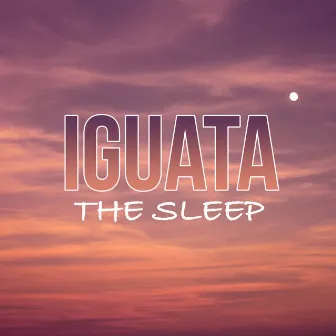 The Sleep by Iguata