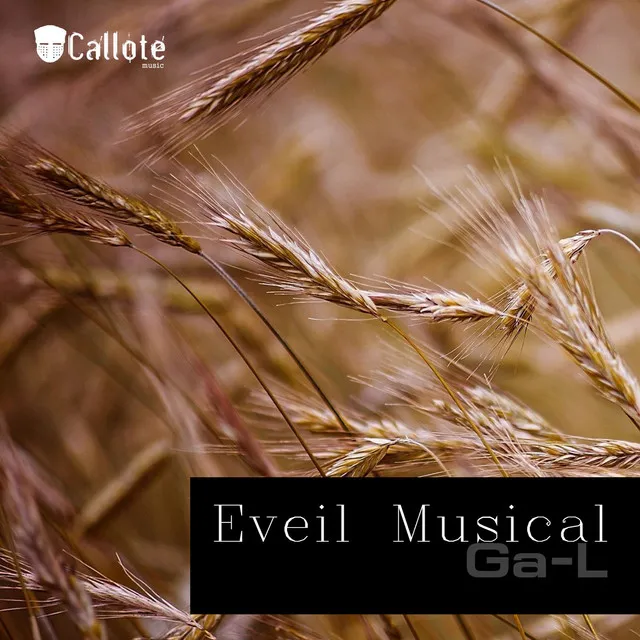 Eveil Musical - Steve Mos Remix