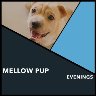 Mellow Pup Evenings by Relaxing Doggy Sleep