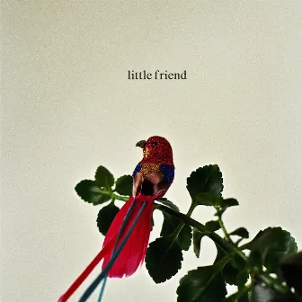 Little Friend by redbook