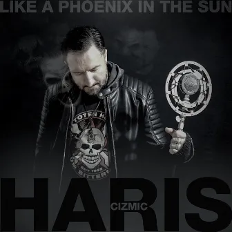 Like a Phoenix in the Sun by Haris Cizmic