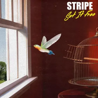 SET IT FREE by STRIPE