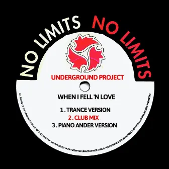 When I Fell 'n Love by The Underground Project