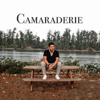 Camaraderie by BrandonLee Cierley