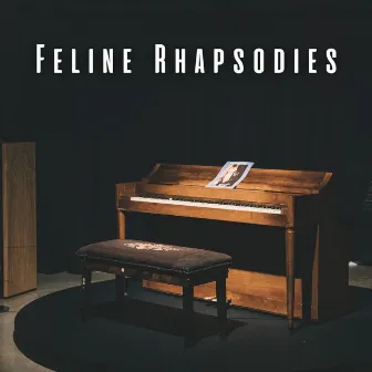 Feline Rhapsodies: Calm Cats with Piano Serenades by Cat Music Studio