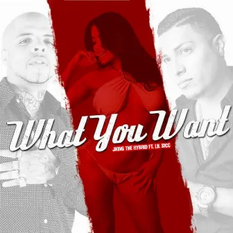 What You Want by Jking The Hybrid