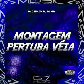 Montagem Pertuba Véia by DJ CAUAZIN ZL