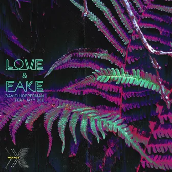 Love & Fake by David Hopperman