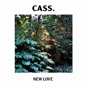 New Love by Cass.