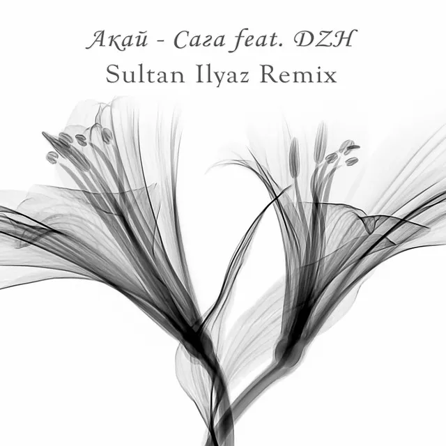 Сага - Sultan Ilyaz Remix