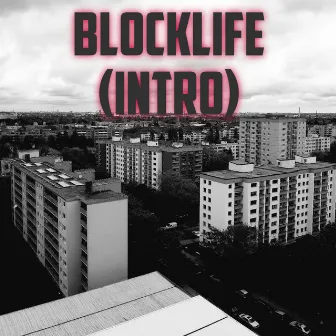 Blocklife (Intro) by L.A.Z 030