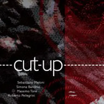 Cut-Up by Sebastiano Meloni