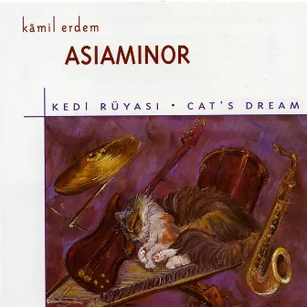 Kedi Rüyası by Kamil Erdem