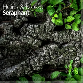 Seraphant by Helius