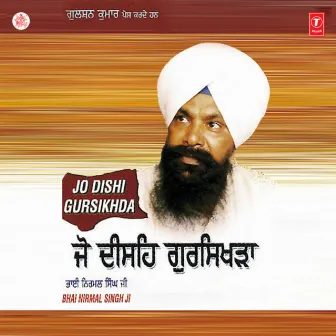 Jo Dishi Gursikhda Vol-16 by Bhai Nirmal Singh