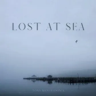 Lost at Sea by Tony Manfredonia