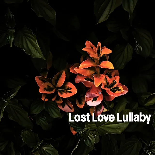 Lost Love Lullaby