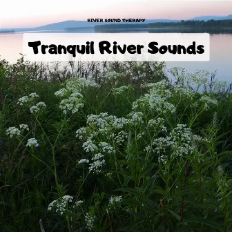 Tranquil River Sounds for Relaxation and Peaceful Sleep by River Sound Therapy