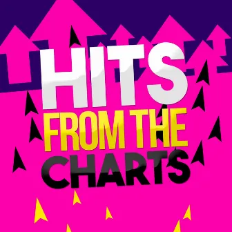 Hits from the Charts by Unknown Artist