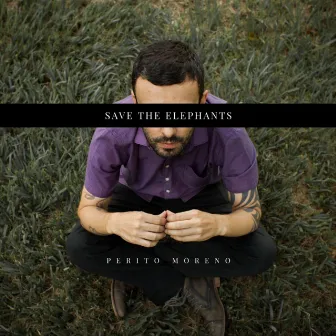 Save the Elephants by Beto Cupertino