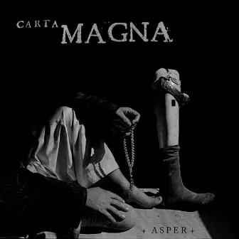 Asper by Carta Magna