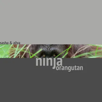 ninja orangutan by aўva