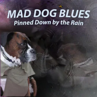 Pinned Down by the Rain (Live) by Mad Dog Blues