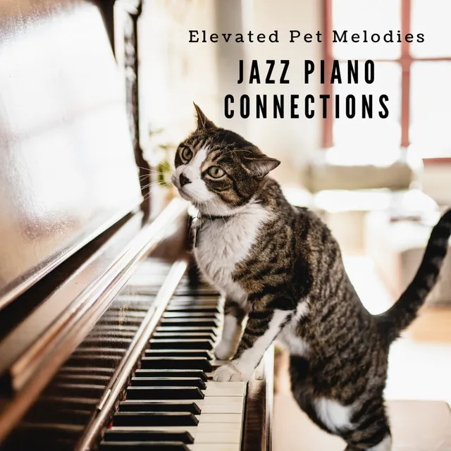 Canine Connections through Melodic Jazz Piano