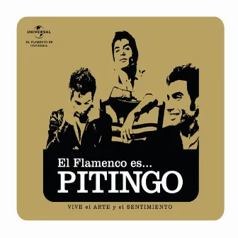 Flamenco es... Pitingo by Pitingo