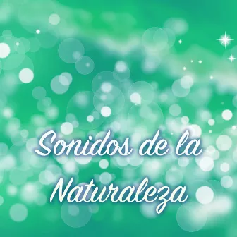 Sonidos de la Naturaleza - Los Mejores Sonidos Naturales para Relajarse by The Yoga Specialists