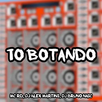 To Botando by DJ ALEX MARTINS