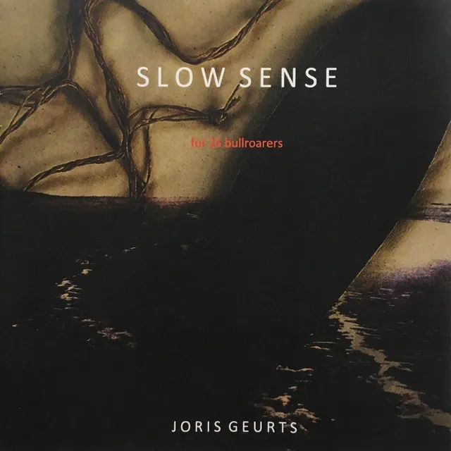 Slow Sense