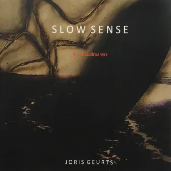 Slow Sense by Joris Geurts