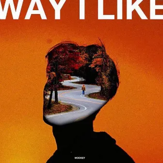 Way I Like by Wooks