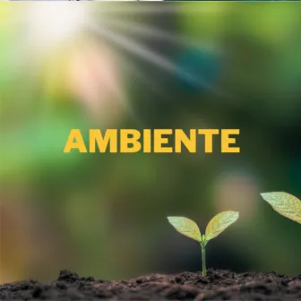 Ambiente by Sons da Natureza