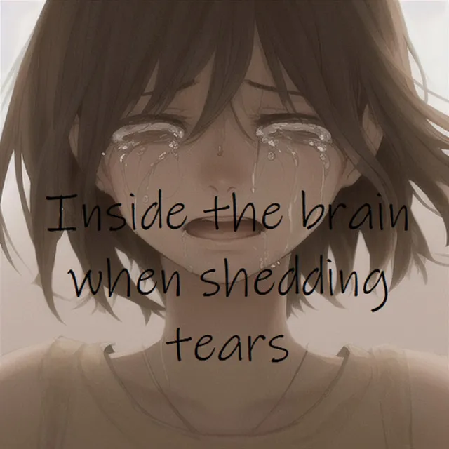 Inside the brain when shedding tears