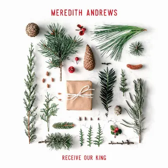 Receive Our King by Meredith Andrews