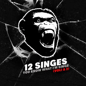 You Know What I'm Singe, Vol. 1 & 2 by 12 Singes