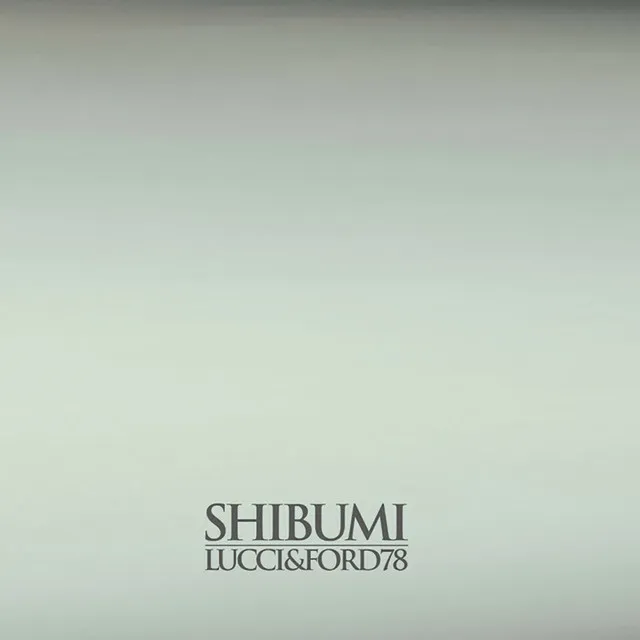 Shibumi