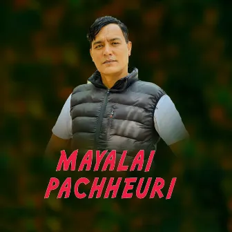 Mayalai Pachheuri by 