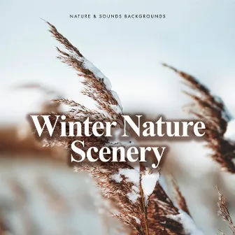 Winter Nature Scenery by Nature Sounds & Backgrounds